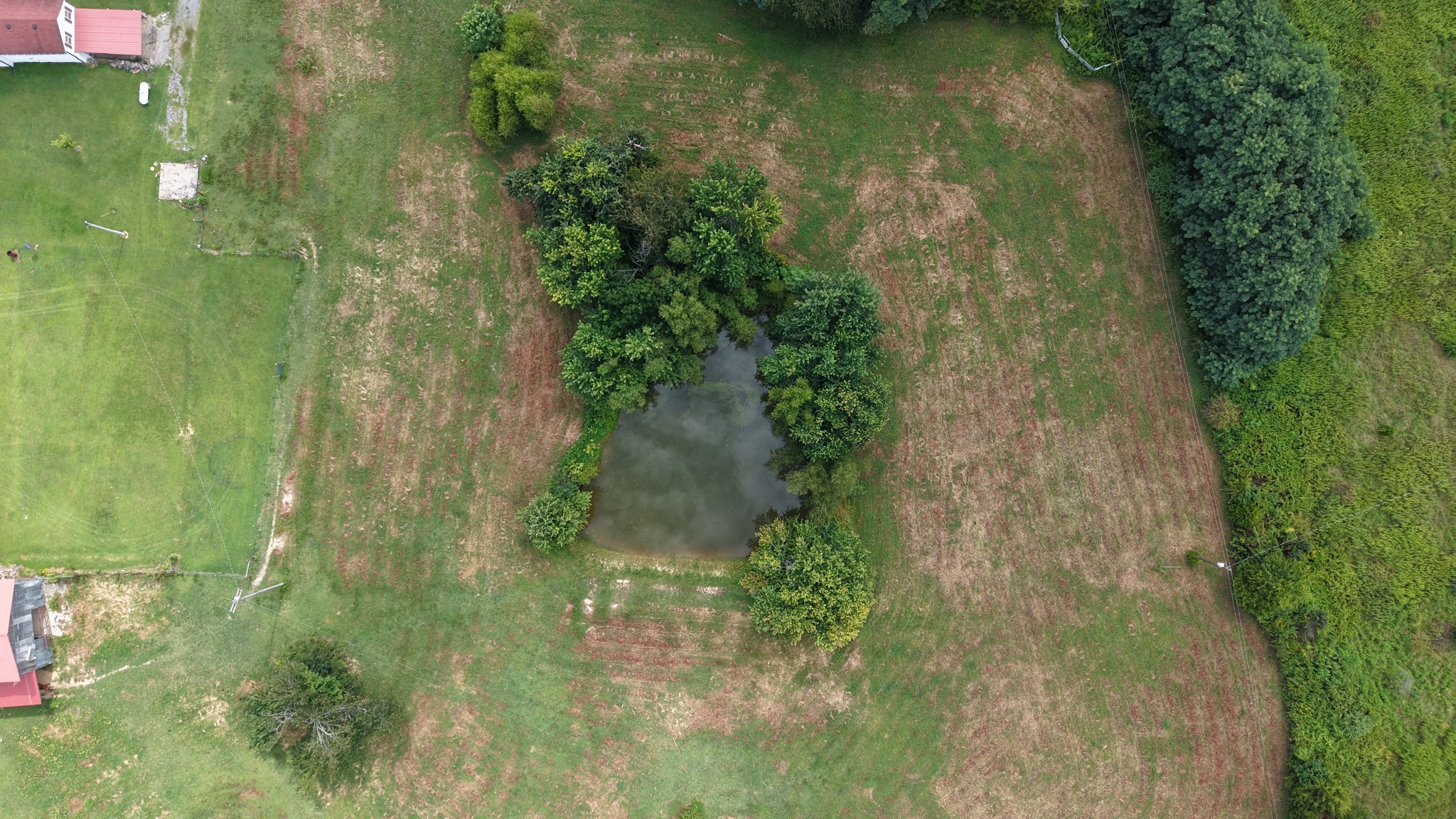 1487 Boyd Road Lafayette, TN 37083 - Photo 35 of 51 Gallery Image 35