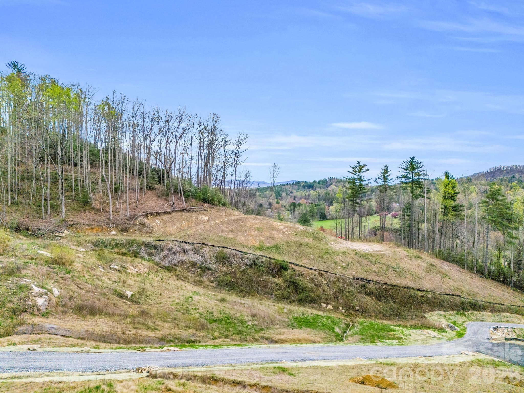 97 Yale Road Hendersonville, NC 28739 - Photo 20 of 48