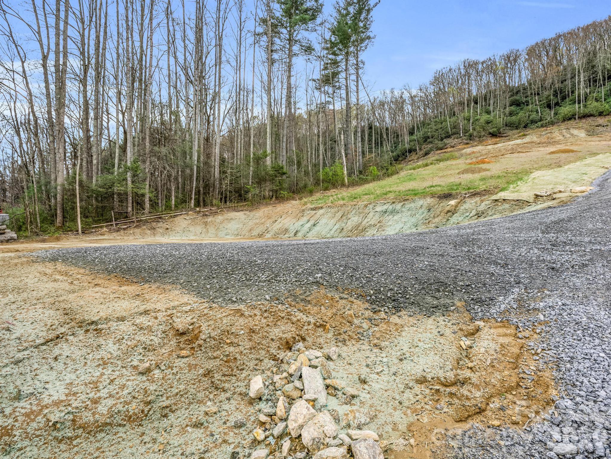 97 Yale Road Hendersonville, NC 28739 - Photo 22 of 48