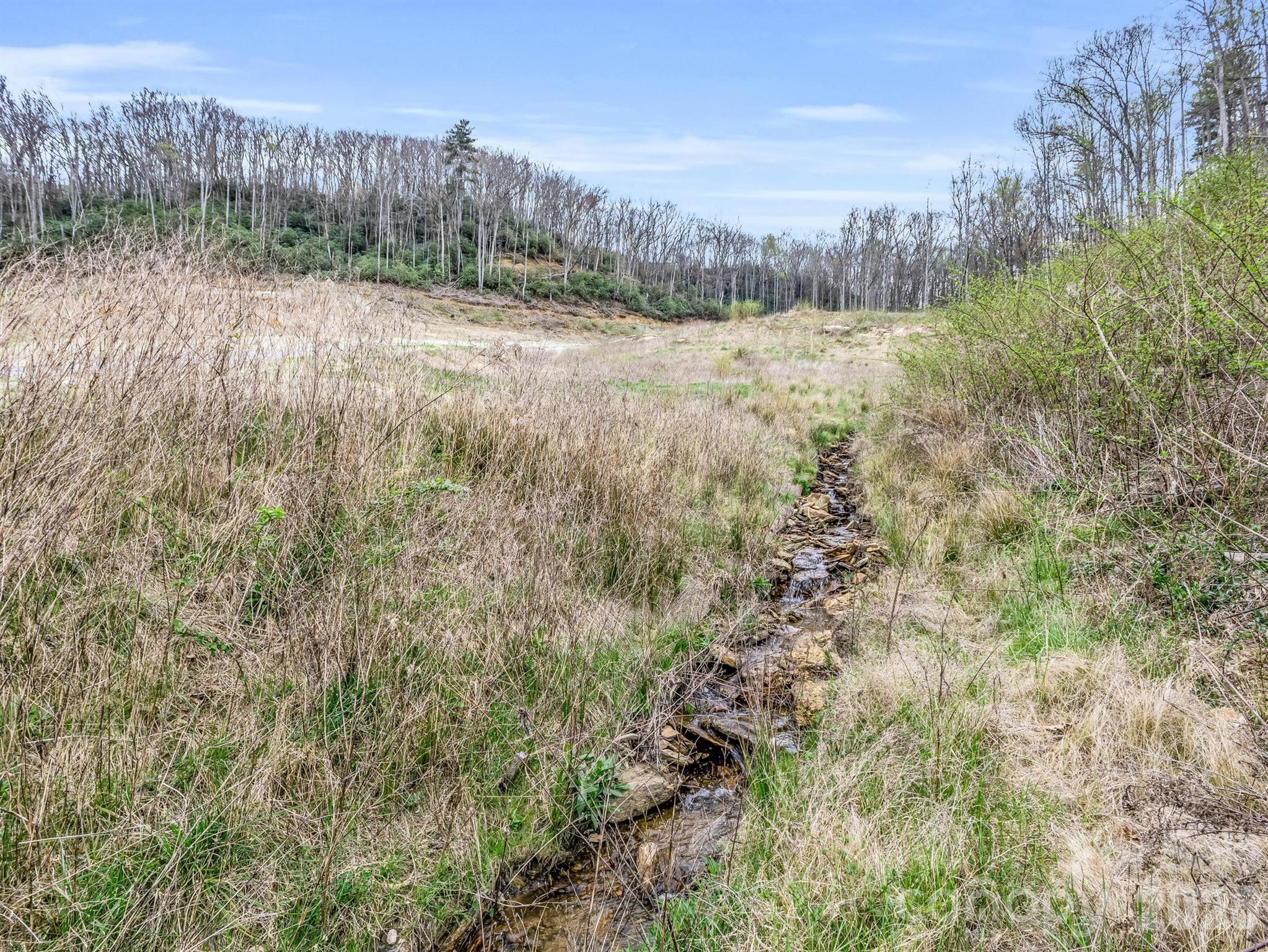 97 Yale Road Hendersonville, NC 28739 - Photo 23 of 48