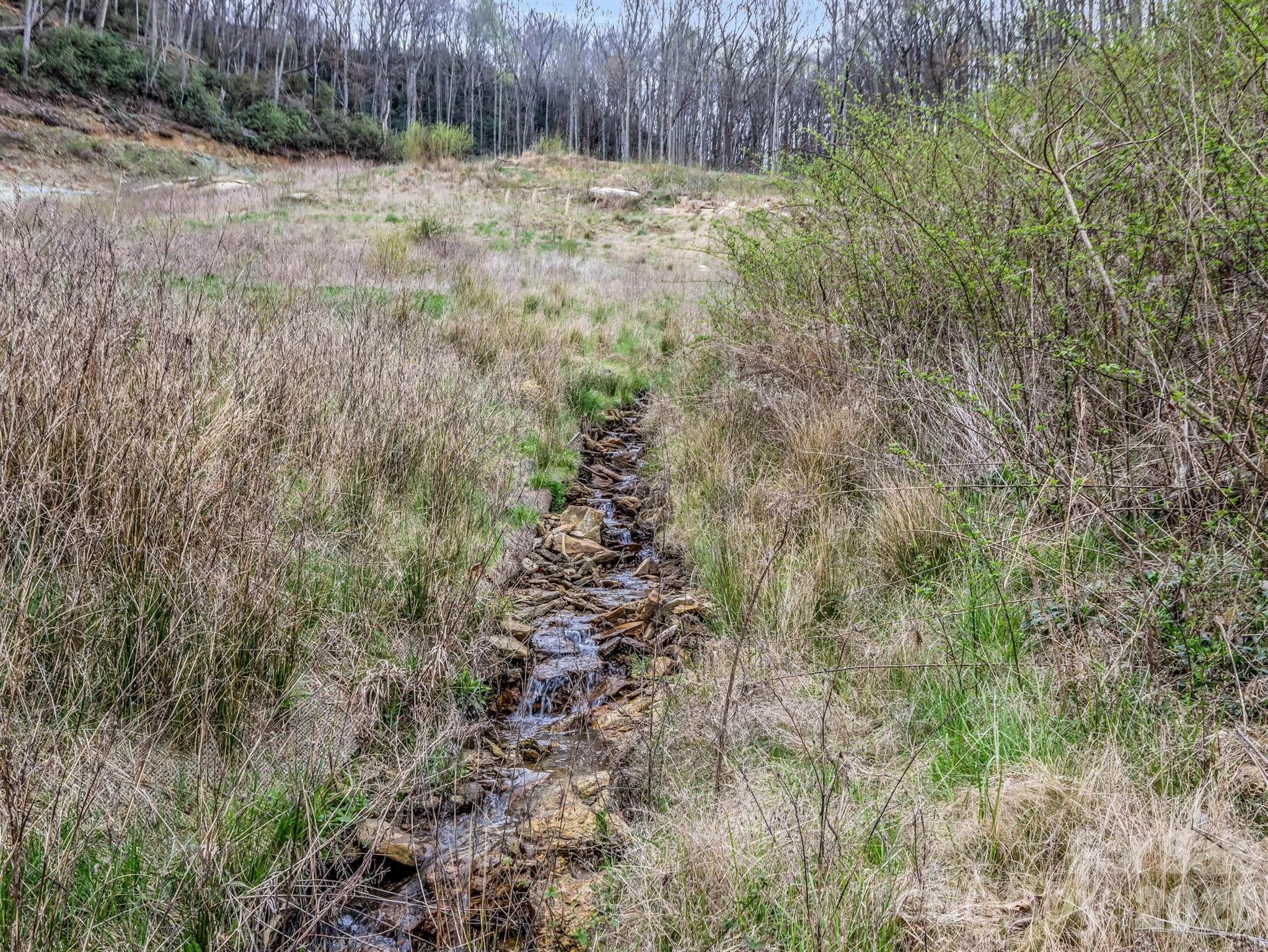 97 Yale Road Hendersonville, NC 28739 - Photo 24 of 48