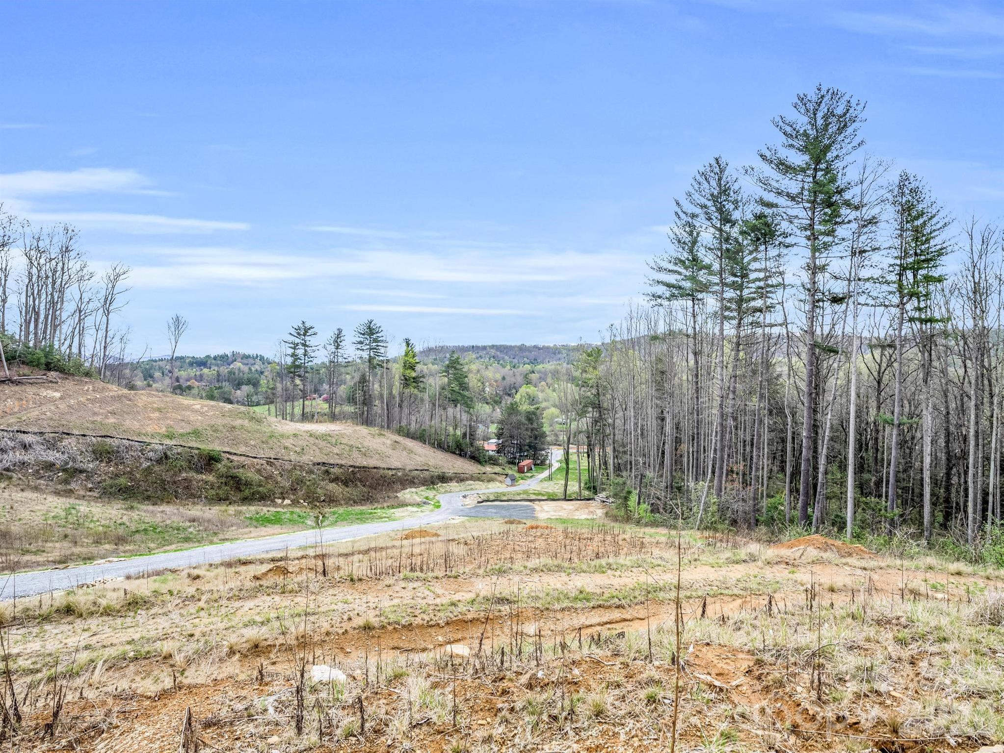 97 Yale Road Hendersonville, NC 28739 - Photo 28 of 48