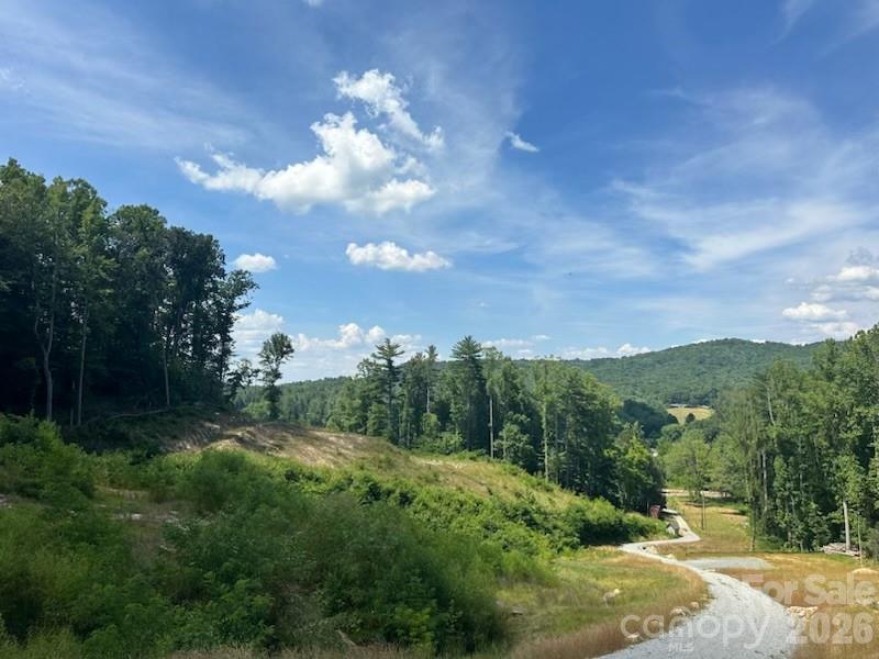 97 Yale Road Hendersonville, NC 28739 - Photo 45 of 48