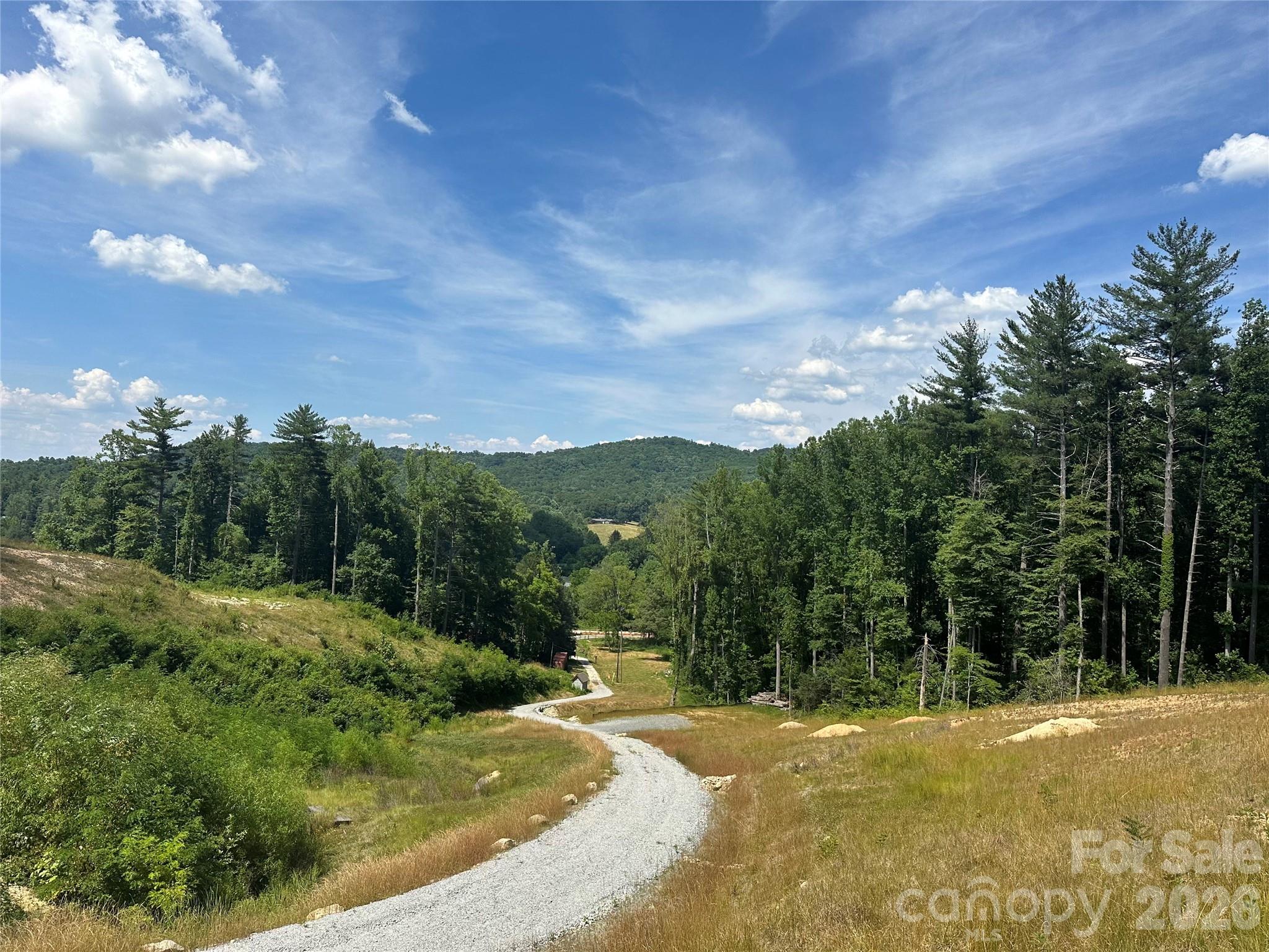 97 Yale Road Hendersonville, NC 28739 - Photo 47 of 48