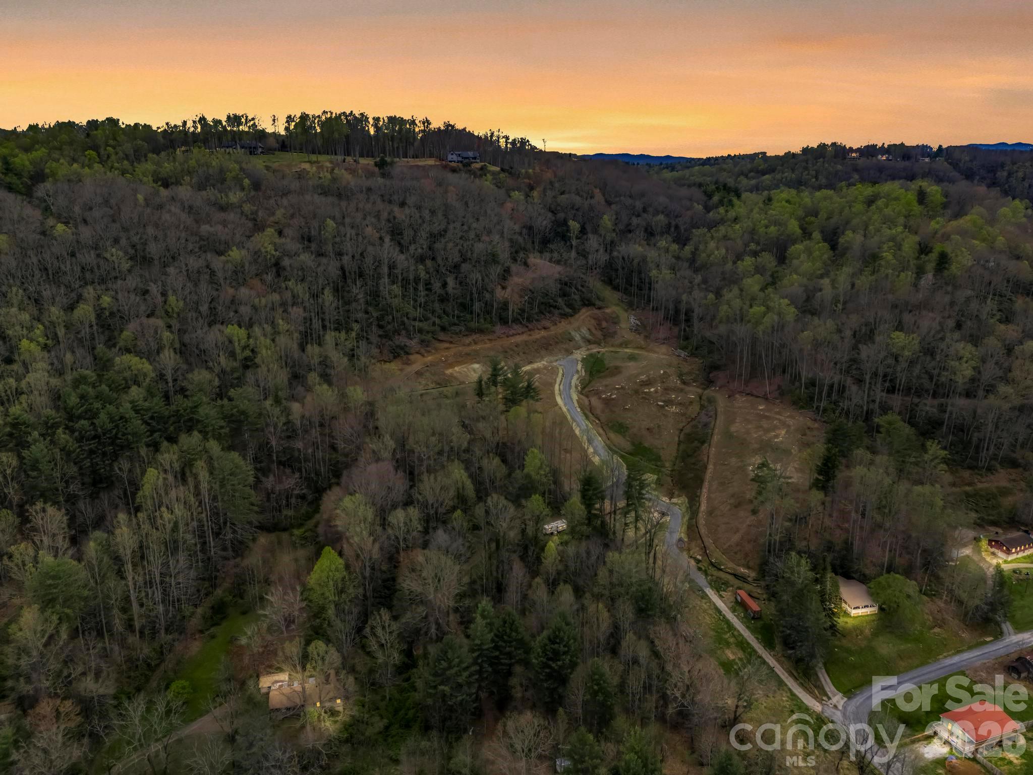 97 Yale Road Hendersonville, NC 28739 - Photo 6 of 48