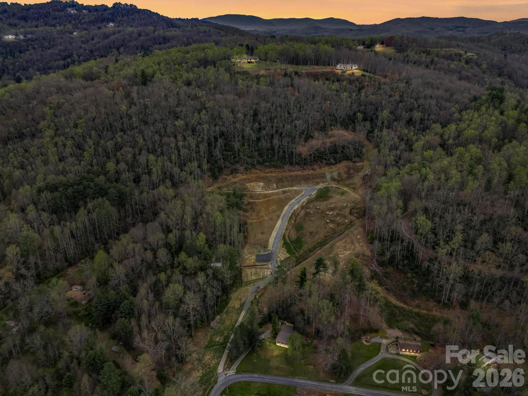 97 Yale Road Hendersonville, NC 28739 - Photo 7 of 48