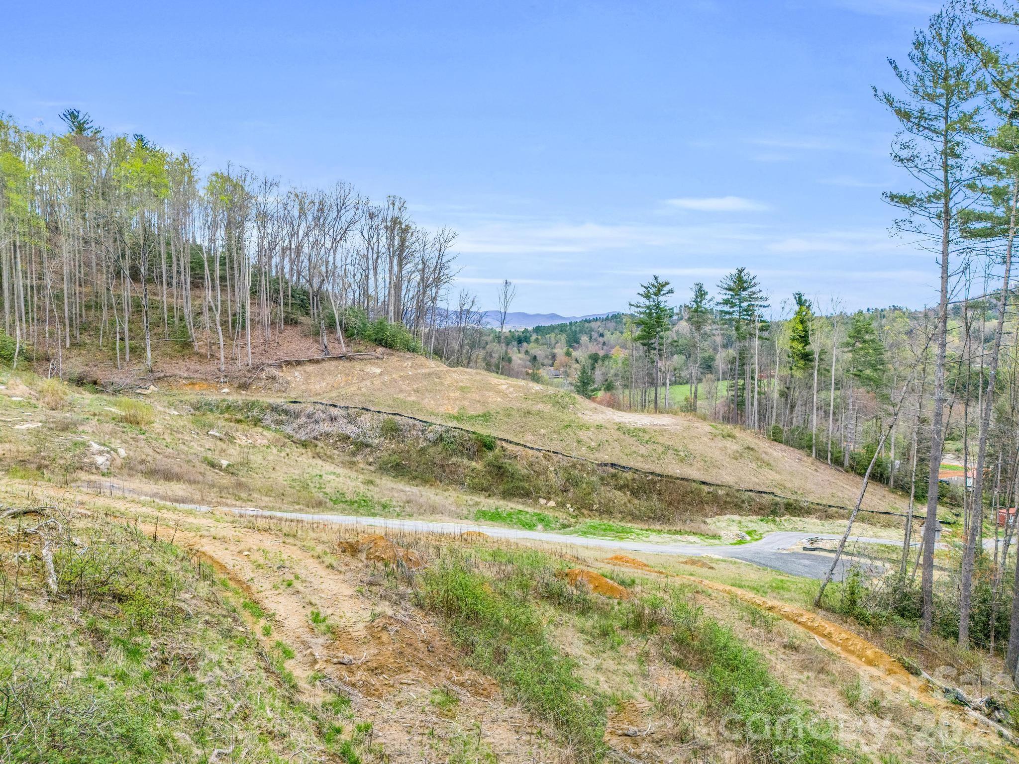 97 Yale Road Hendersonville, NC 28739 - Photo 8 of 48