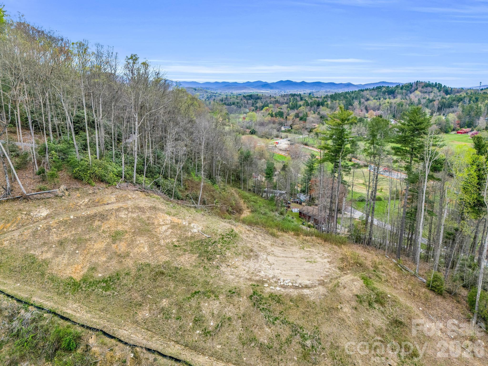 97 Yale Road Hendersonville, NC 28739 - Photo 10 of 48