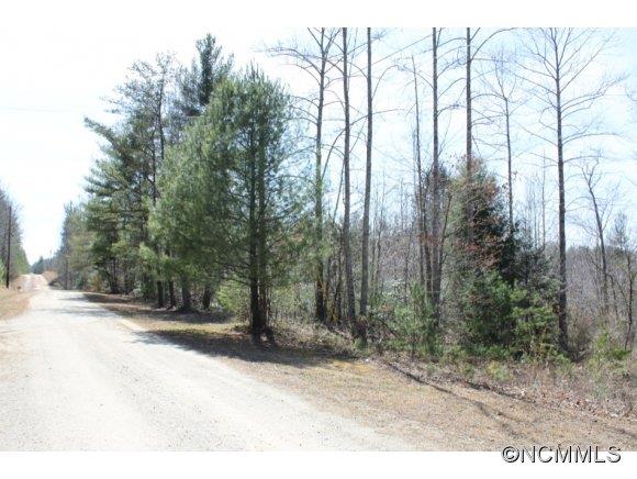 1431 Razors Ridge Road Morganton, NC 28655 - Photo 1 of 6 Gallery Image 1