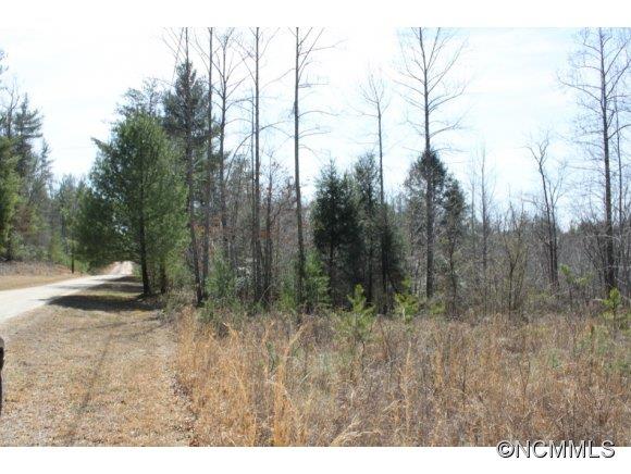 1431 Razors Ridge Road Morganton, NC 28655 - Photo 3 of 6 Gallery Image 3