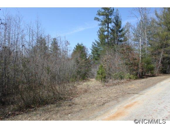 1431 Razors Ridge Road Morganton, NC 28655 - Photo 5 of 6 Gallery Image 5