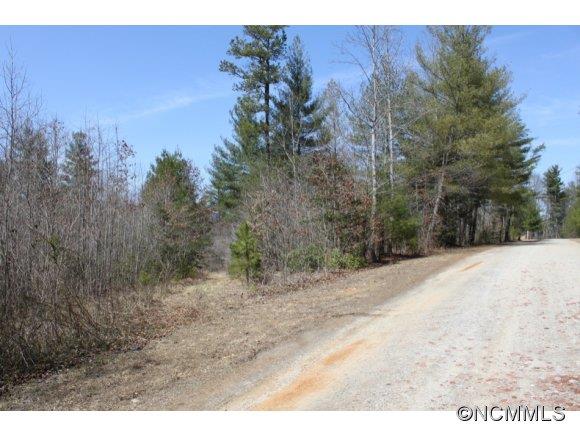 1431 Razors Ridge Road Morganton, NC 28655 - Photo 6 of 6 Gallery Image 6