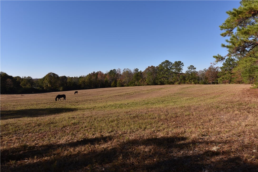 573 Rolling Ridge Road Auburn, AL 36830 - Photo 1 of 30 Gallery Image 1