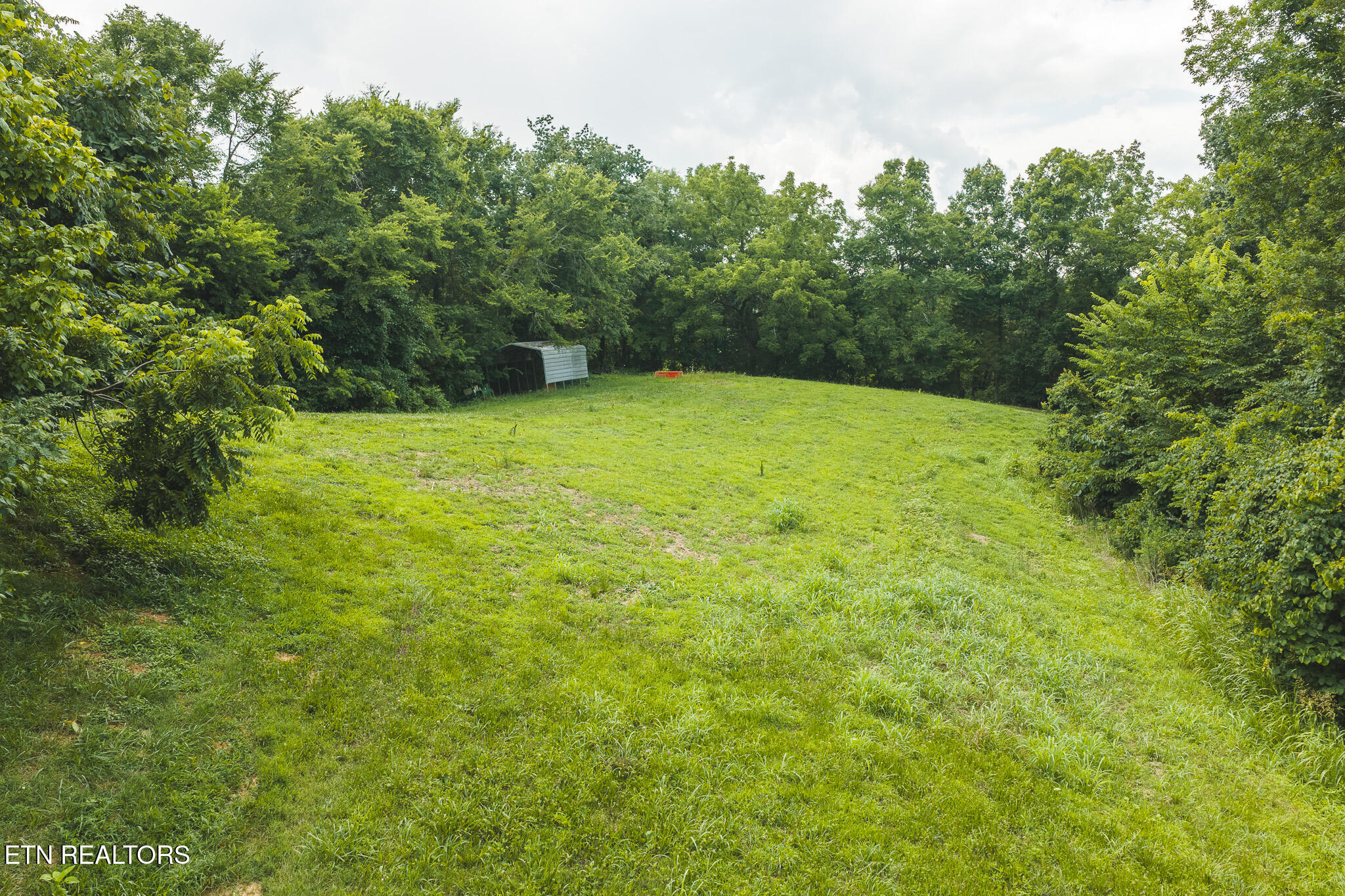 114-acres South Mohawk Road Midway, TN 37809 - Photo 19 of 49 DJI_20260707152352_0475_D