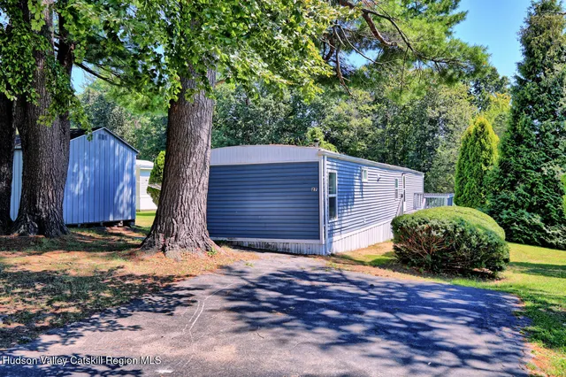 a view of a lush green forest