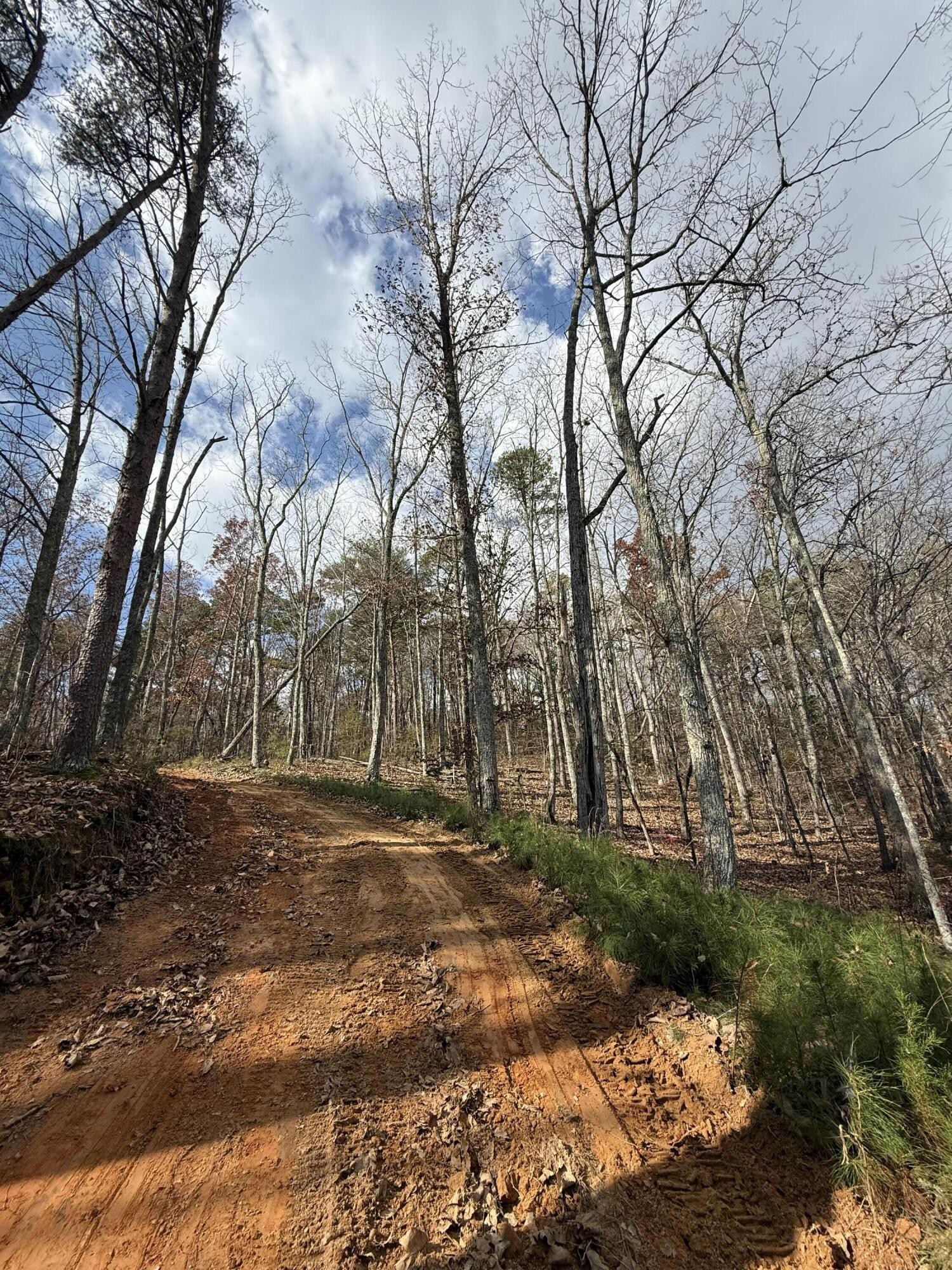1 Parksville Road Benton, TN 37307 - Photo 4 of 16