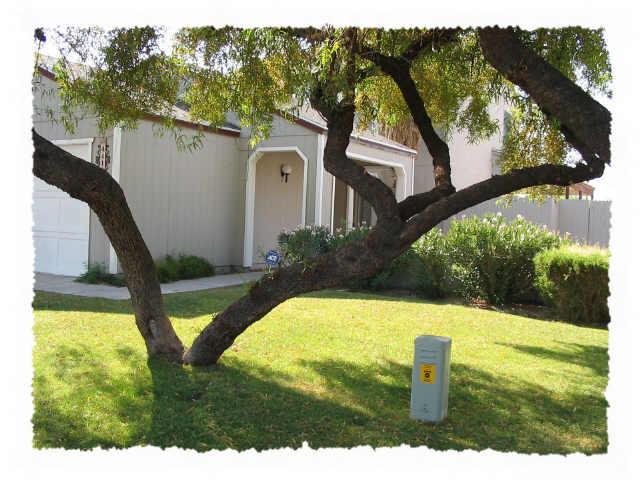 4418 East Vineyard Road Phoenix, AZ 85042 - Photo 1 of 1 Primary Photo