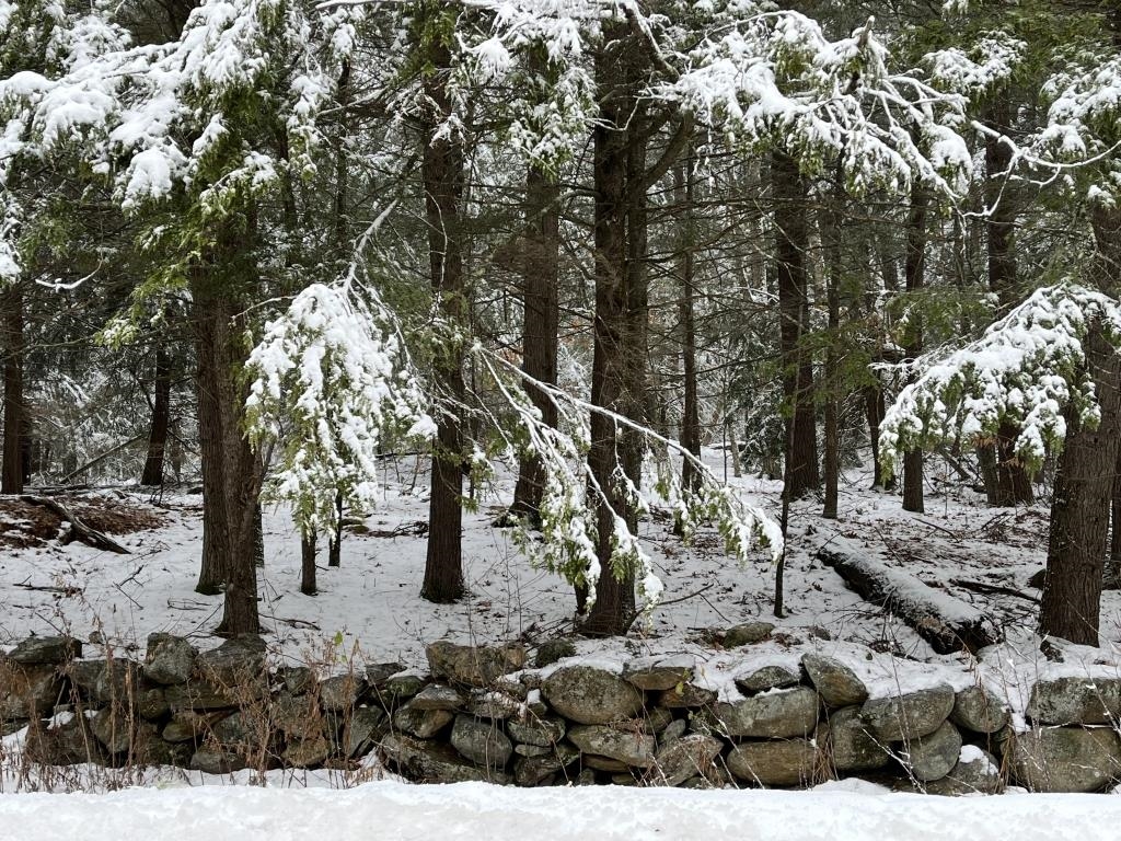 199 Bryant Road Jaffrey, NH 03452 - Photo 6 of 13