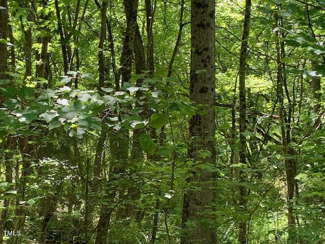 Lot #3 Daniel Ridge Lane Roxboro, NC 27574 - Photo 7 of 8 IMG_4759
