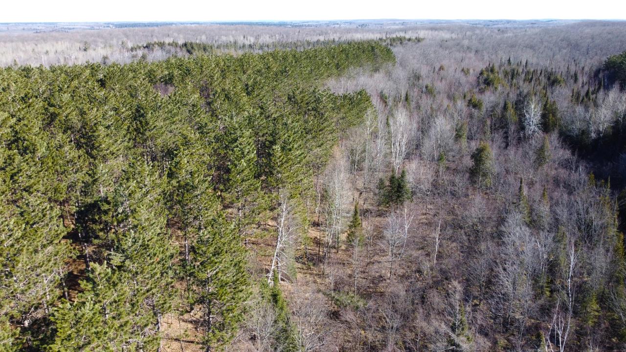8 Old 8 Road Crandon, WI 54520 - Photo 21 of 39 Gallery Image 21