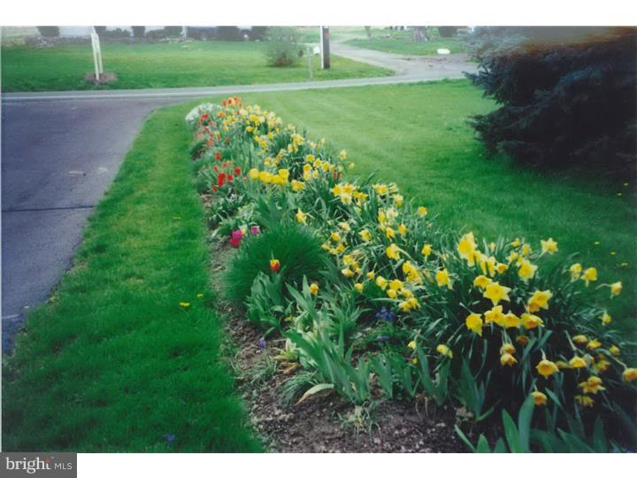 2335 Spinnerstown Road Quakertown, PA 18951 - Photo 14 of 22 Gallery Image 14