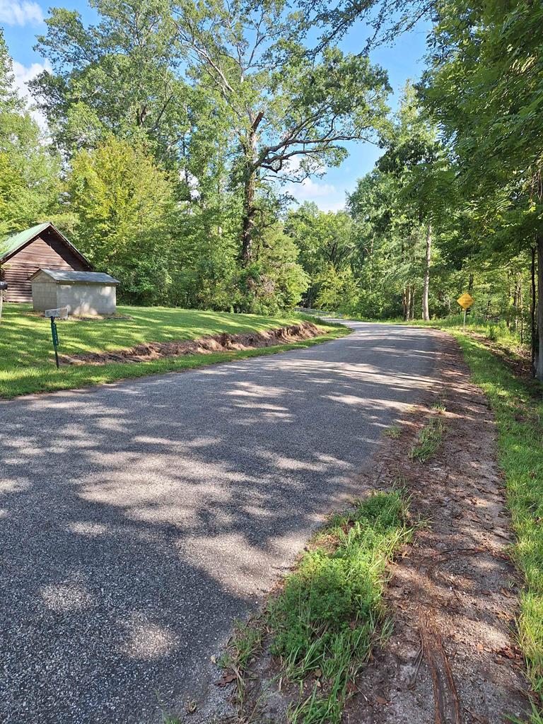 5124 Callison Road Bradley, SC 29819 - Photo 5 of 24