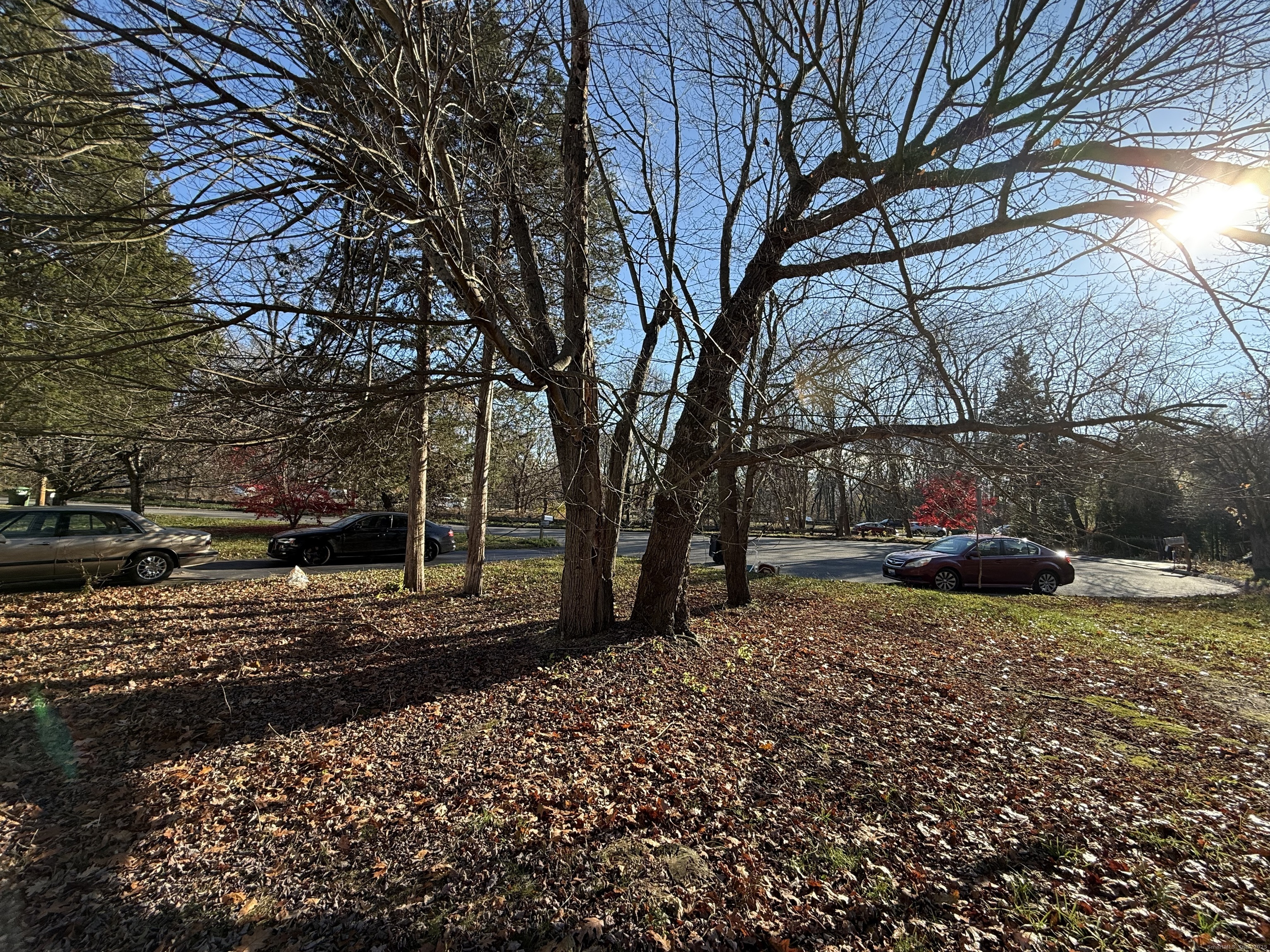 18 Ridgebury Drive Trumbull, CT 06611 - Photo 18 of 21