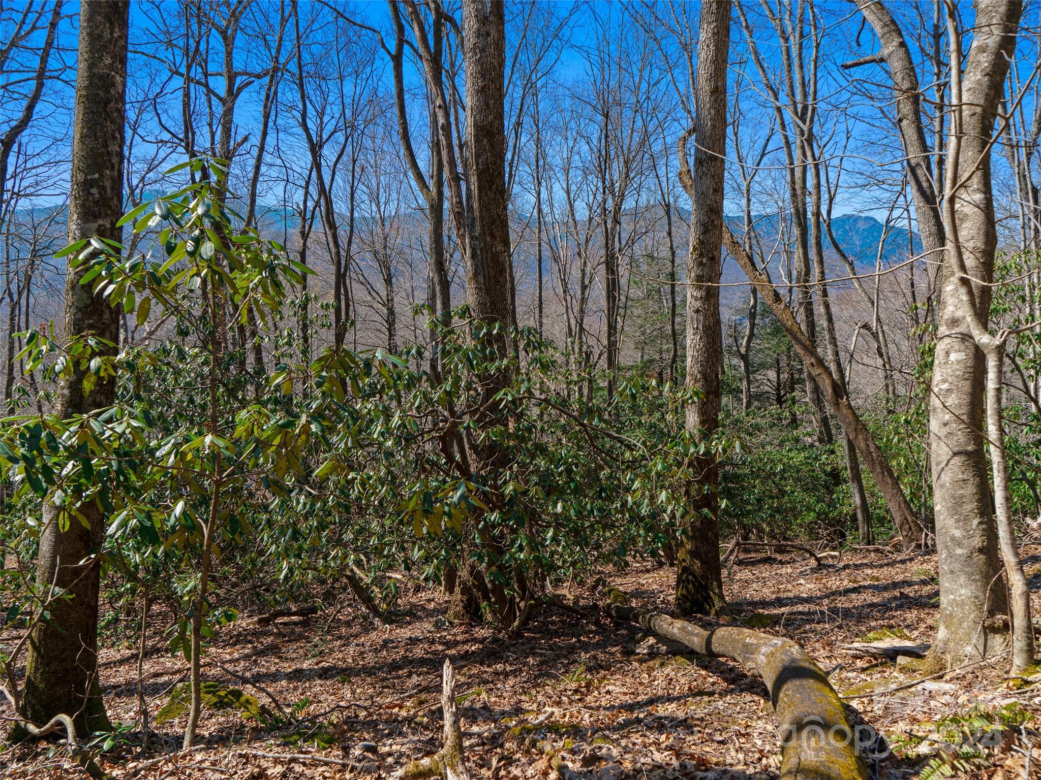 0 Big Ridge Road, Unit 62 & 63 Burnsville, NC 28714 - Photo 17 of 31 a backyard of a house with lots of green space