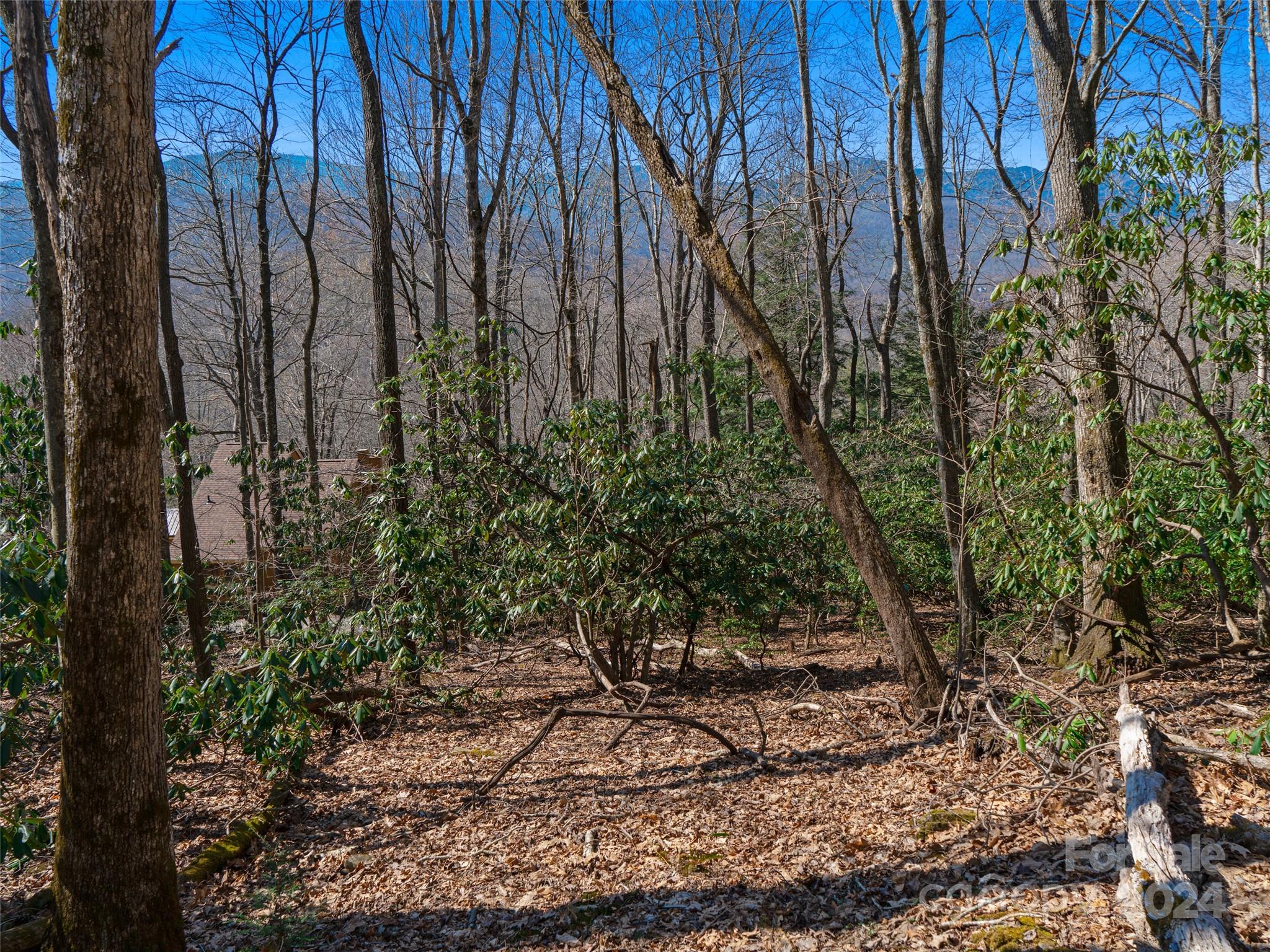 0 Big Ridge Road, Unit 62 & 63 Burnsville, NC 28714 - Photo 18 of 31 a backyard of a house with lots of plants and trees