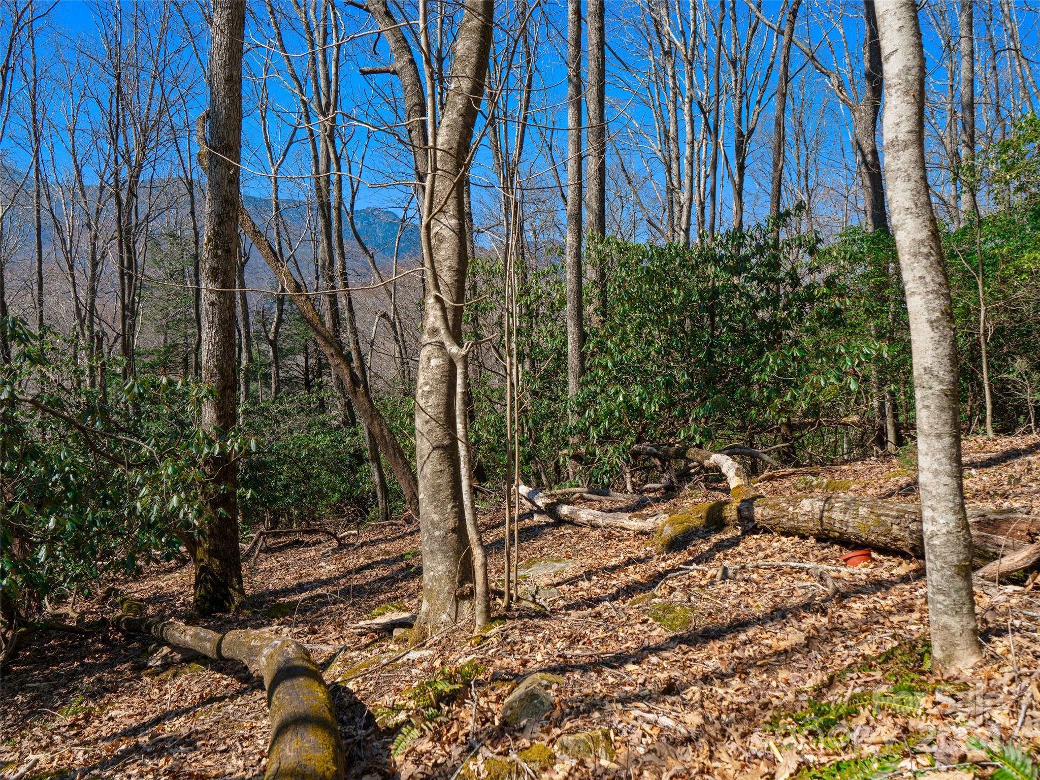 0 Big Ridge Road, Unit 62 & 63 Burnsville, NC 28714 - Photo 19 of 31 a view of a backyard with plants and trees