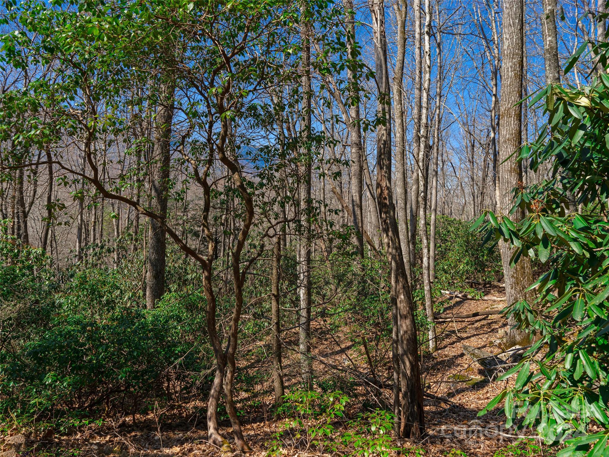 0 Big Ridge Road, Unit 62 & 63 Burnsville, NC 28714 - Photo 20 of 31 a view of a tree with a tree