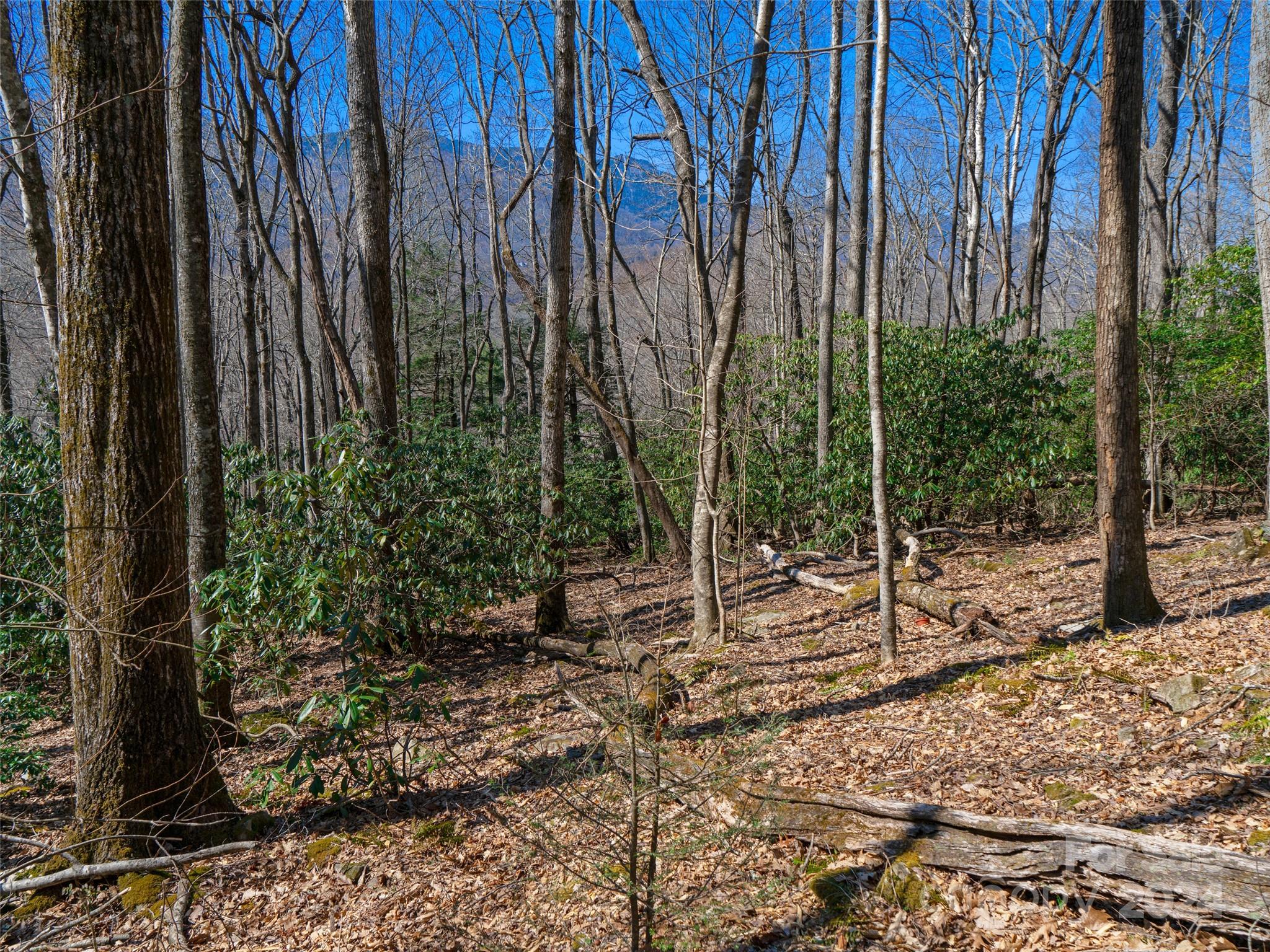 0 Big Ridge Road, Unit 62 & 63 Burnsville, NC 28714 - Photo 2 of 31 a view of a backyard