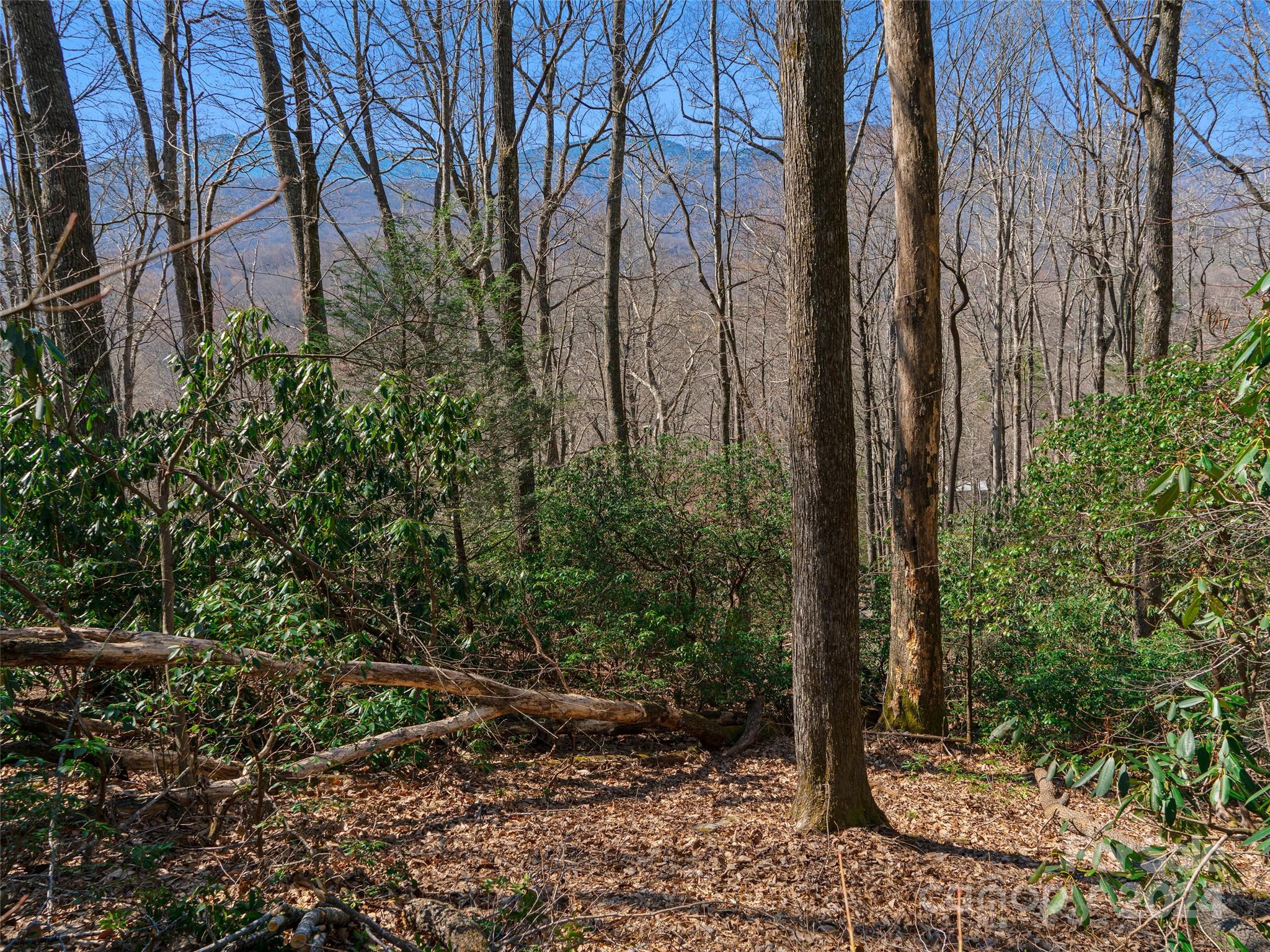 0 Big Ridge Road, Unit 62 & 63 Burnsville, NC 28714 - Photo 21 of 31 a view of a yard with plants and trees