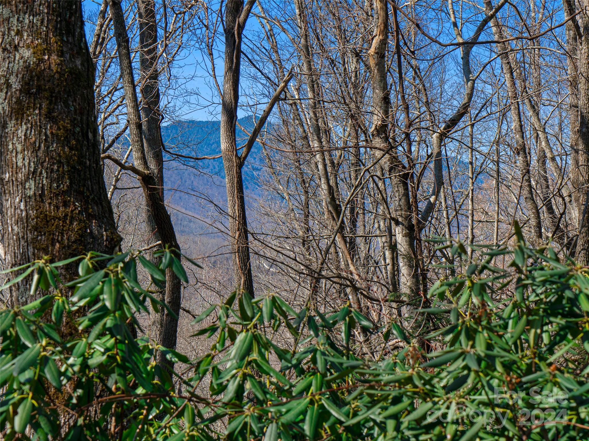 0 Big Ridge Road, Unit 62 & 63 Burnsville, NC 28714 - Photo 23 of 31 a backyard of a house with lots of green space