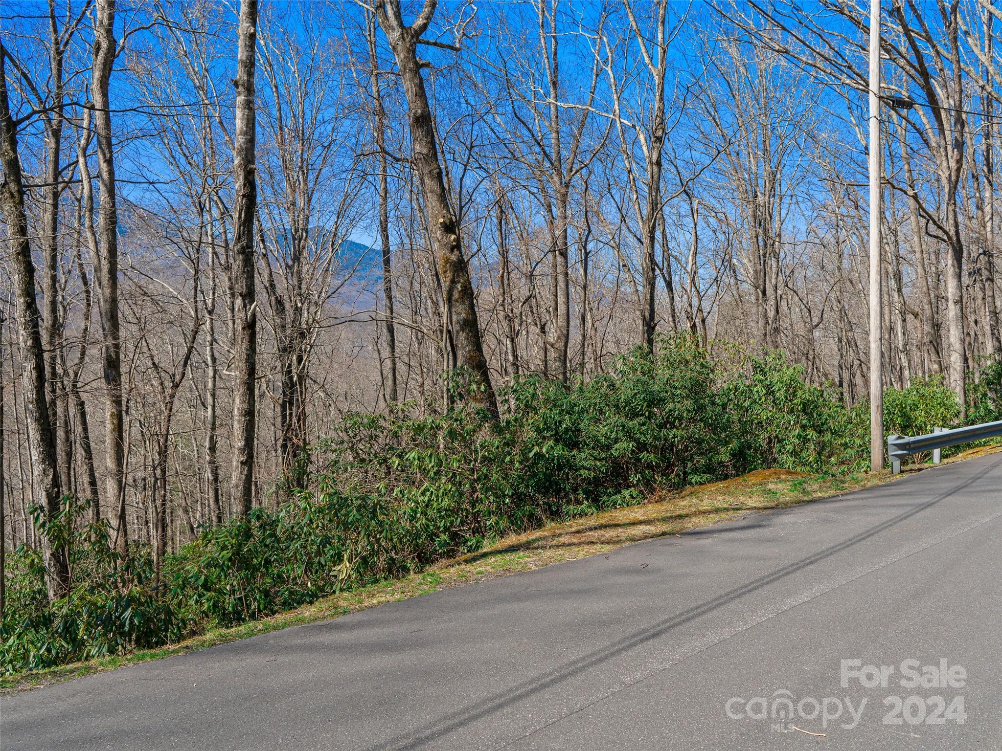0 Big Ridge Road, Unit 62 & 63 Burnsville, NC 28714 - Photo 24 of 31 a view of a garden with pathway
