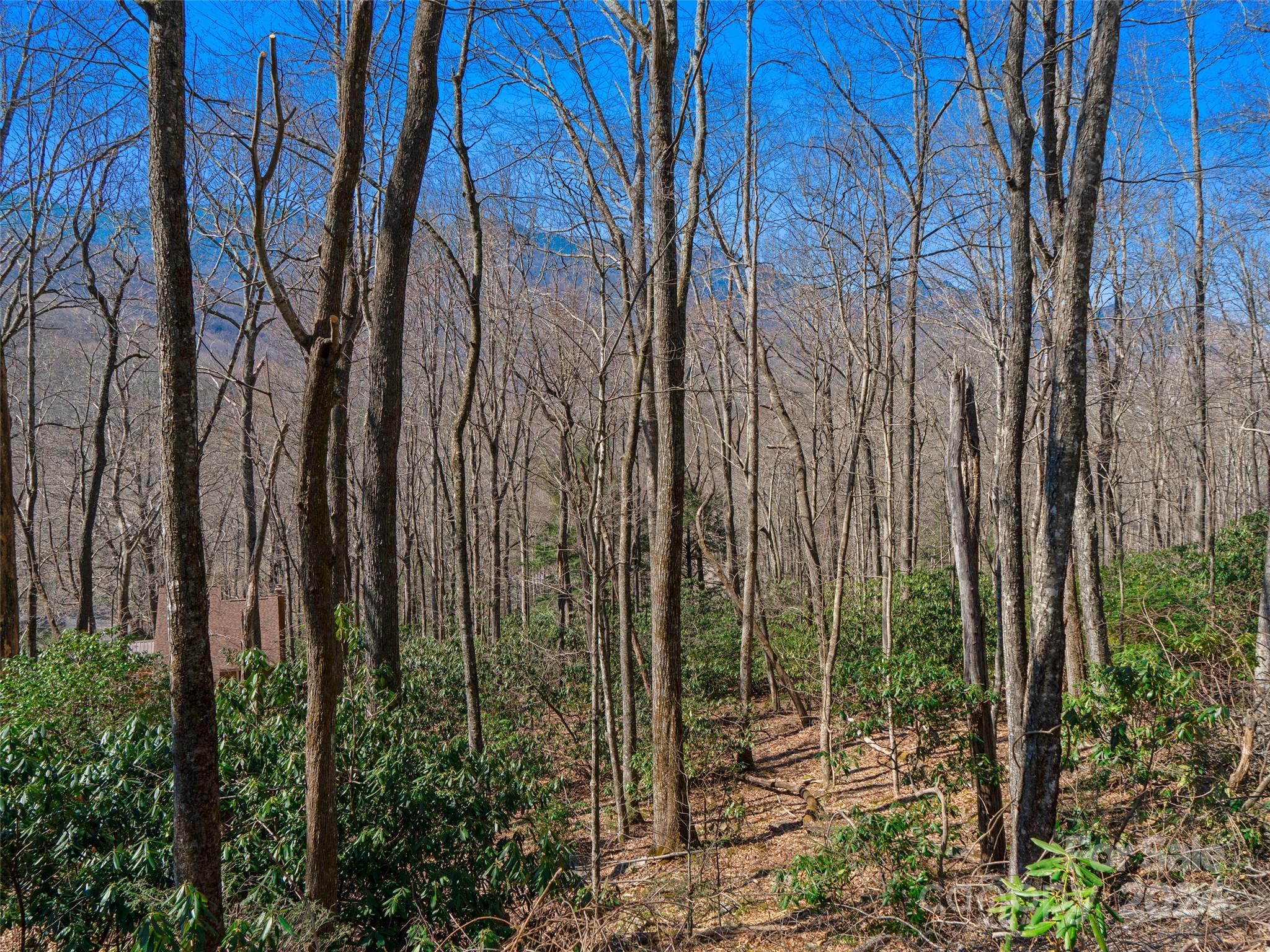 0 Big Ridge Road, Unit 62 & 63 Burnsville, NC 28714 - Photo 25 of 31 a view of outdoor space and yard
