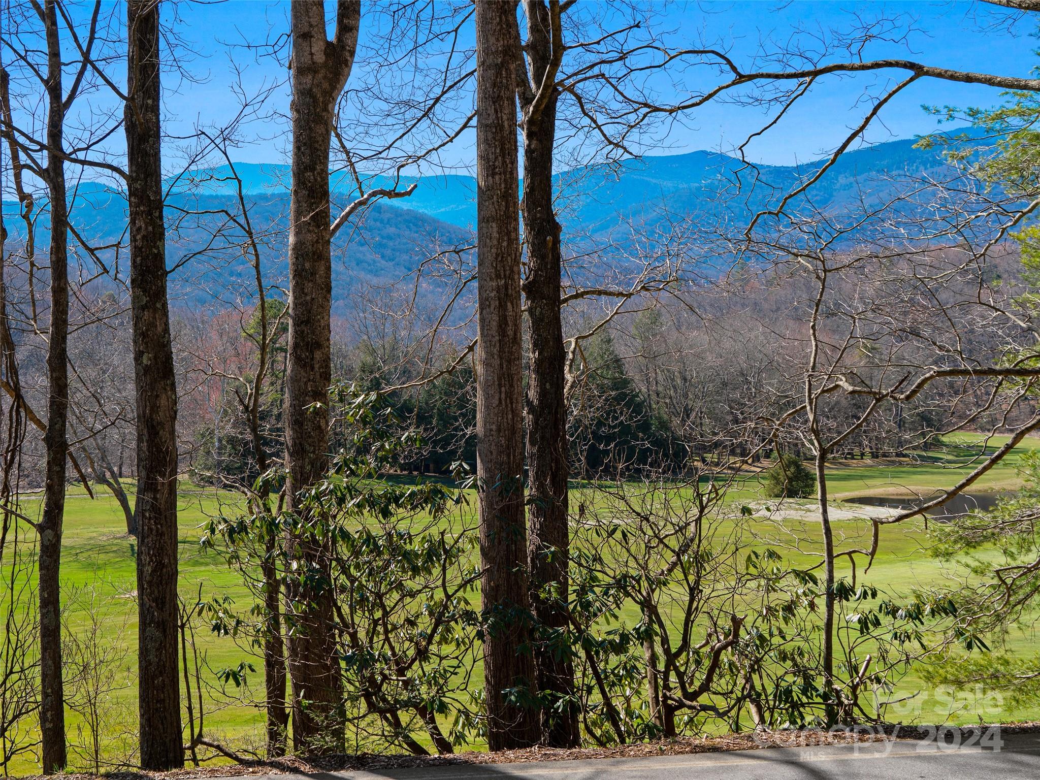 0 Big Ridge Road, Unit 62 & 63 Burnsville, NC 28714 - Photo 26 of 31 a view of a yard with plants