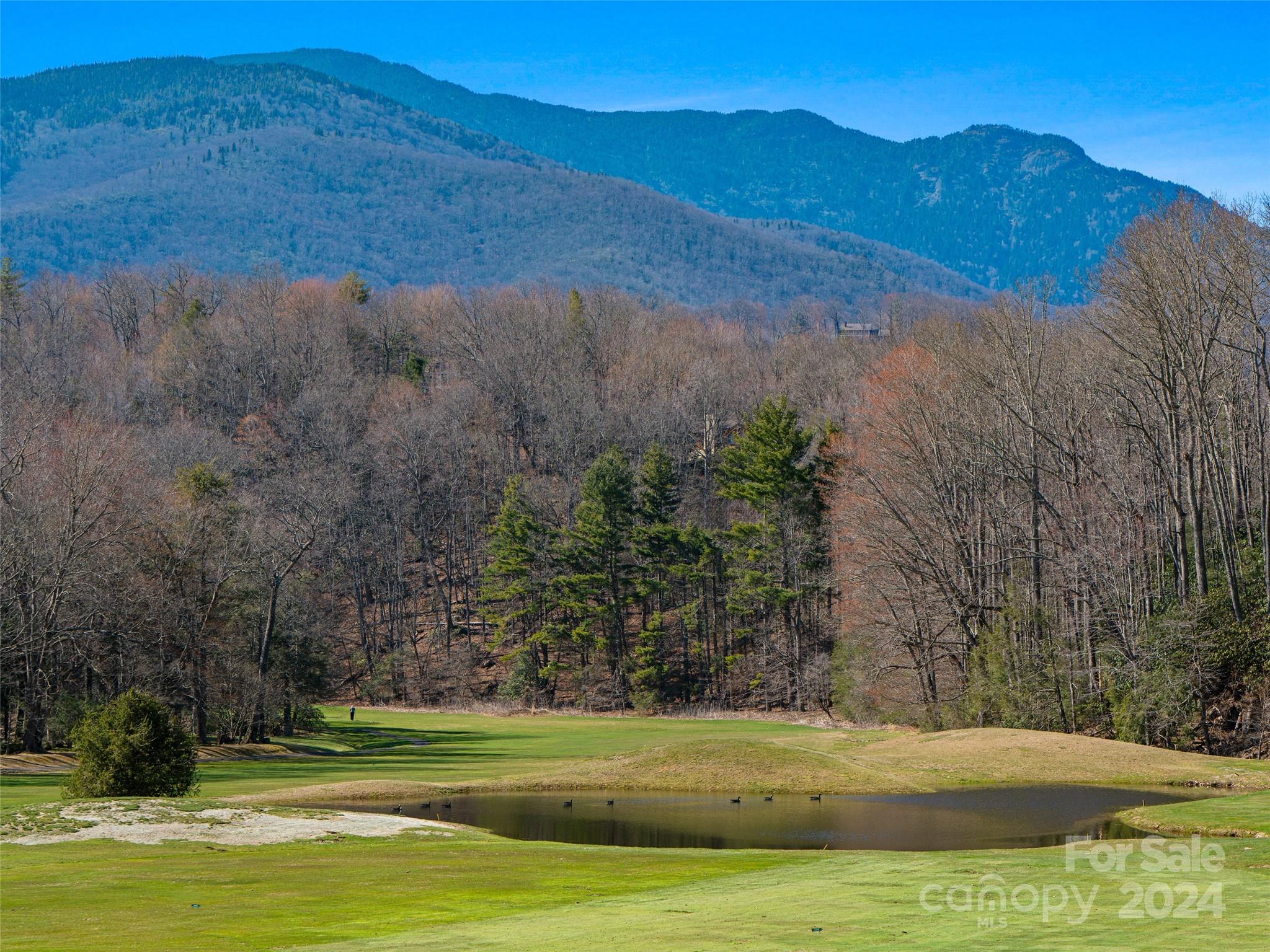 0 Big Ridge Road, Unit 62 & 63 Burnsville, NC 28714 - Photo 27 of 31 a view of a backyard with green space