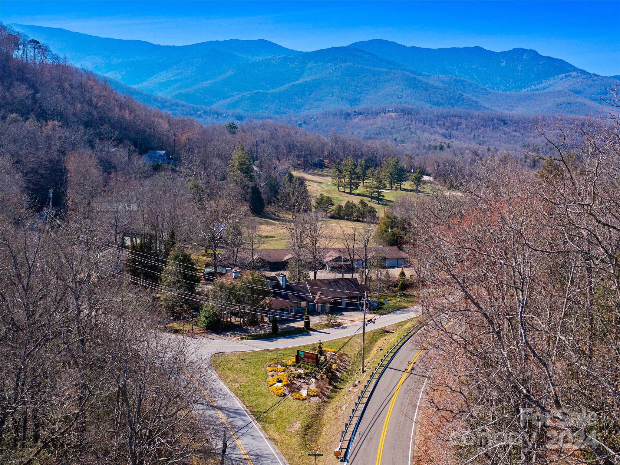 0 Big Ridge Road, Unit 62 & 63 Burnsville, NC 28714 - Photo 28 of 31 a view of a backyard with plants and a mountain view