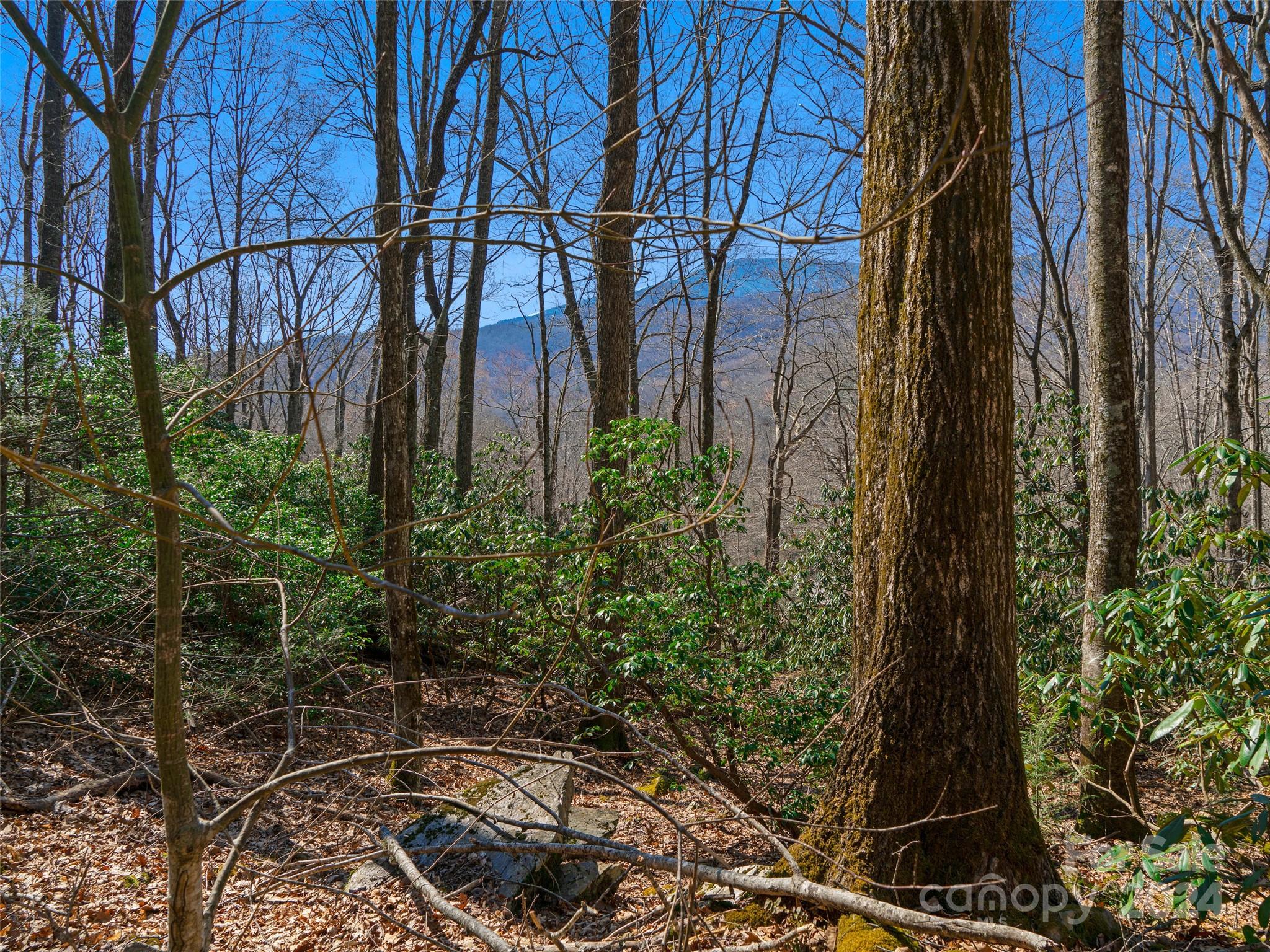 0 Big Ridge Road, Unit 62 & 63 Burnsville, NC 28714 - Photo 3 of 31 a backyard of a house with lots of green space