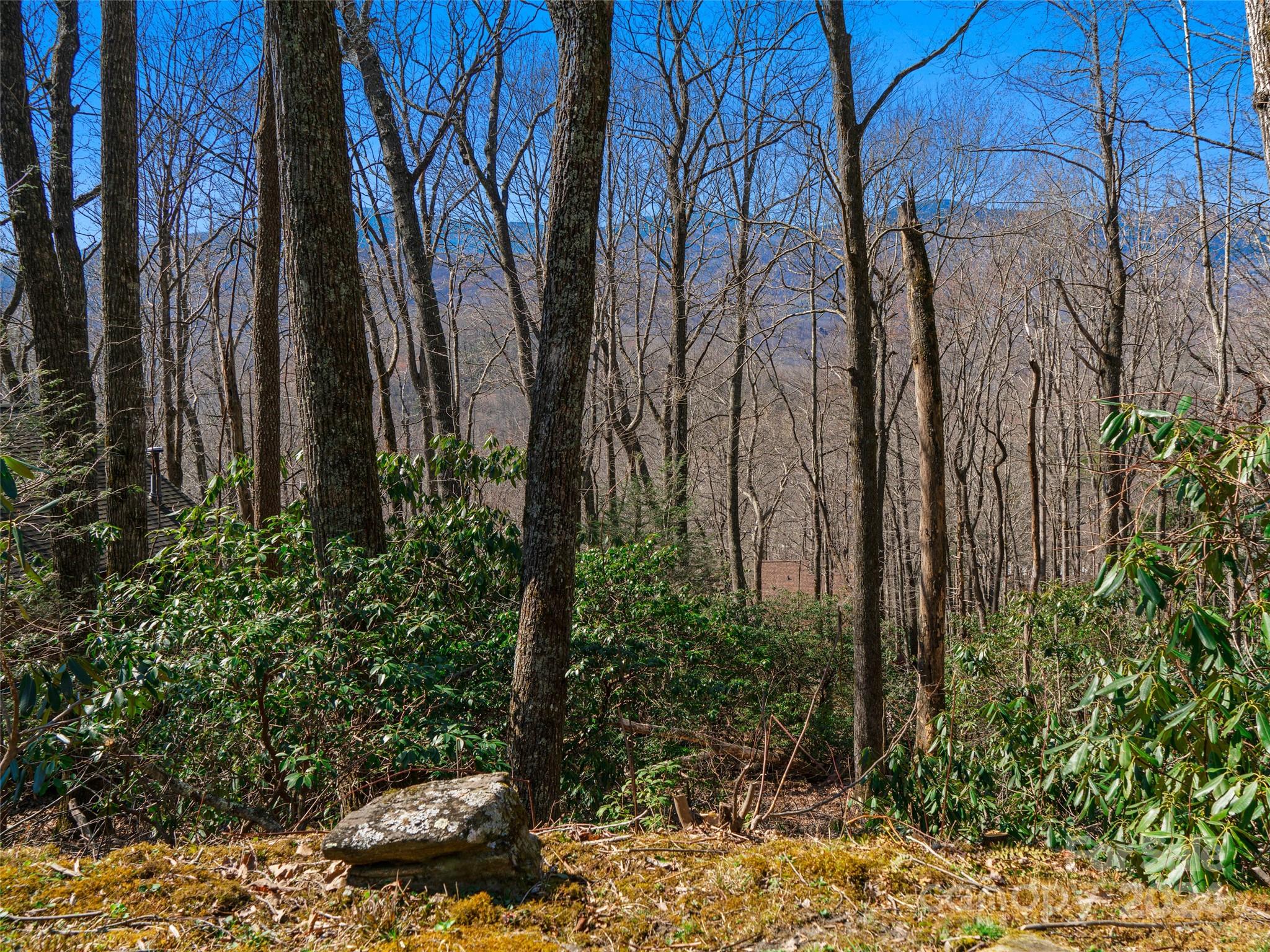 0 Big Ridge Road, Unit 62 & 63 Burnsville, NC 28714 - Photo 31 of 31 a view of a backyard of the house