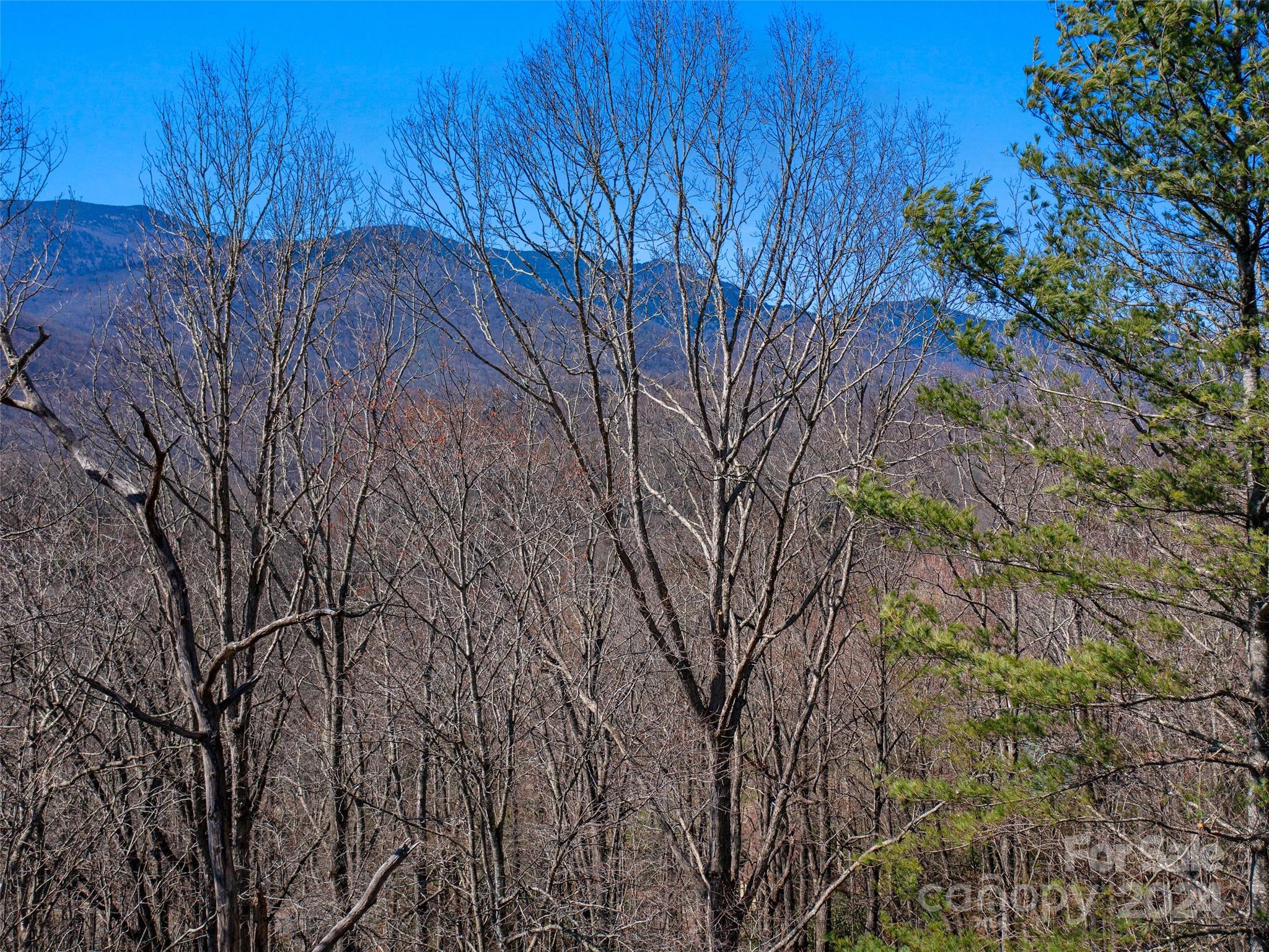 0 Big Ridge Road, Unit 62 & 63 Burnsville, NC 28714 - Photo 4 of 31 a view of a backyard