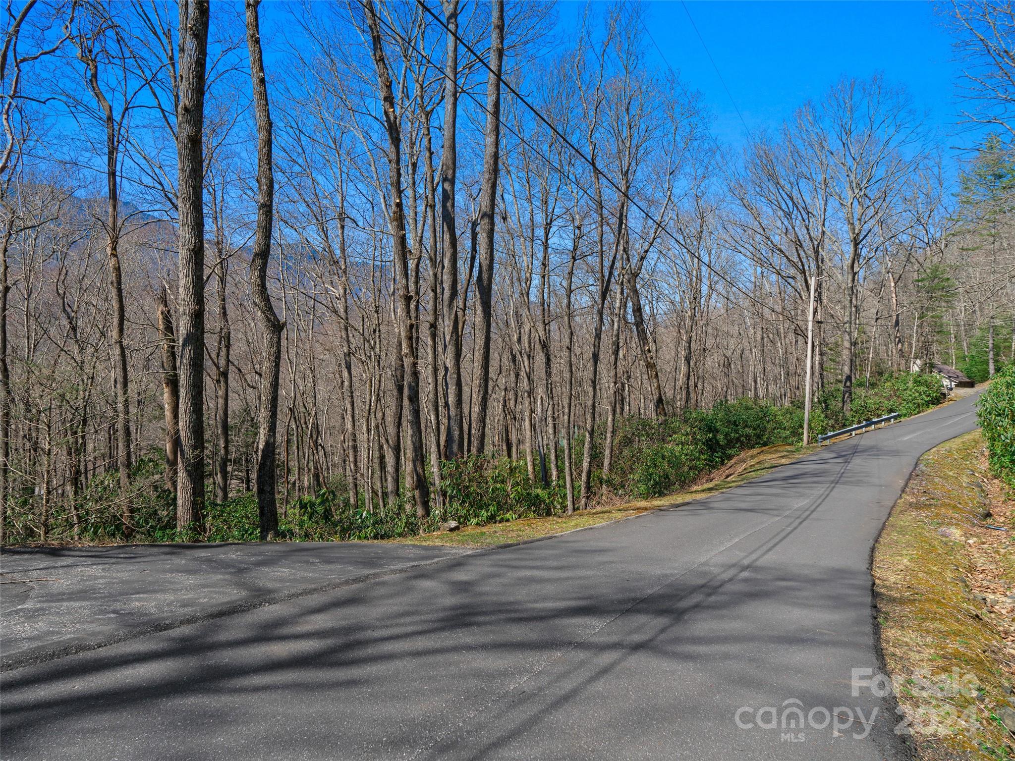0 Big Ridge Road, Unit 62 & 63 Burnsville, NC 28714 - Photo 5 of 31 a view of a backyard with pathway