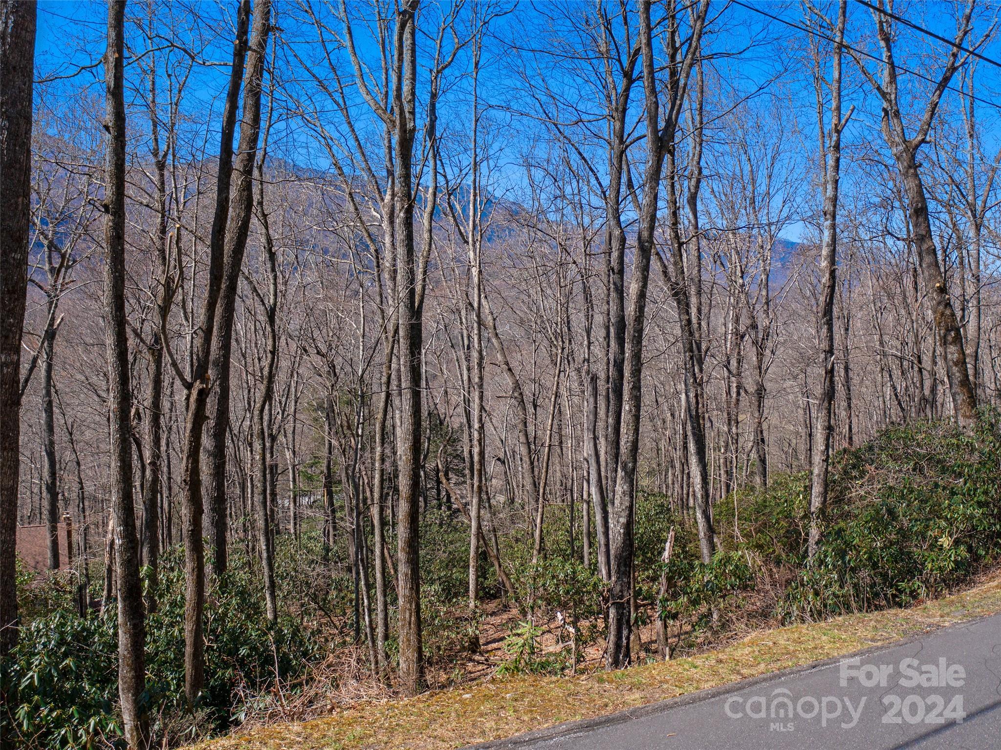 0 Big Ridge Road, Unit 62 & 63 Burnsville, NC 28714 - Photo 6 of 31 a view of a backyard of the house