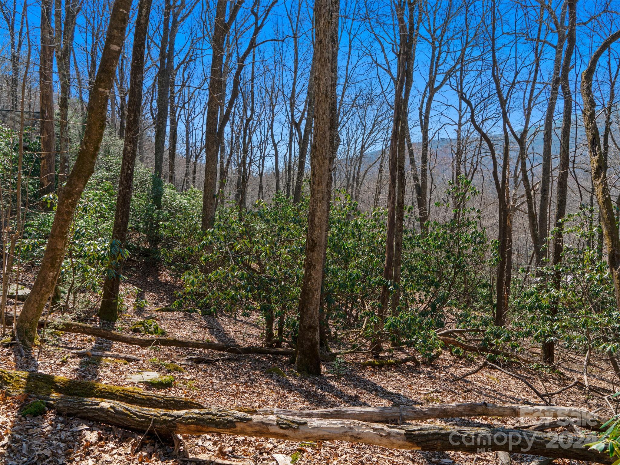 0 Big Ridge Road, Unit 62 & 63 Burnsville, NC 28714 - Photo 7 of 31 a backyard of a house with lots of green space