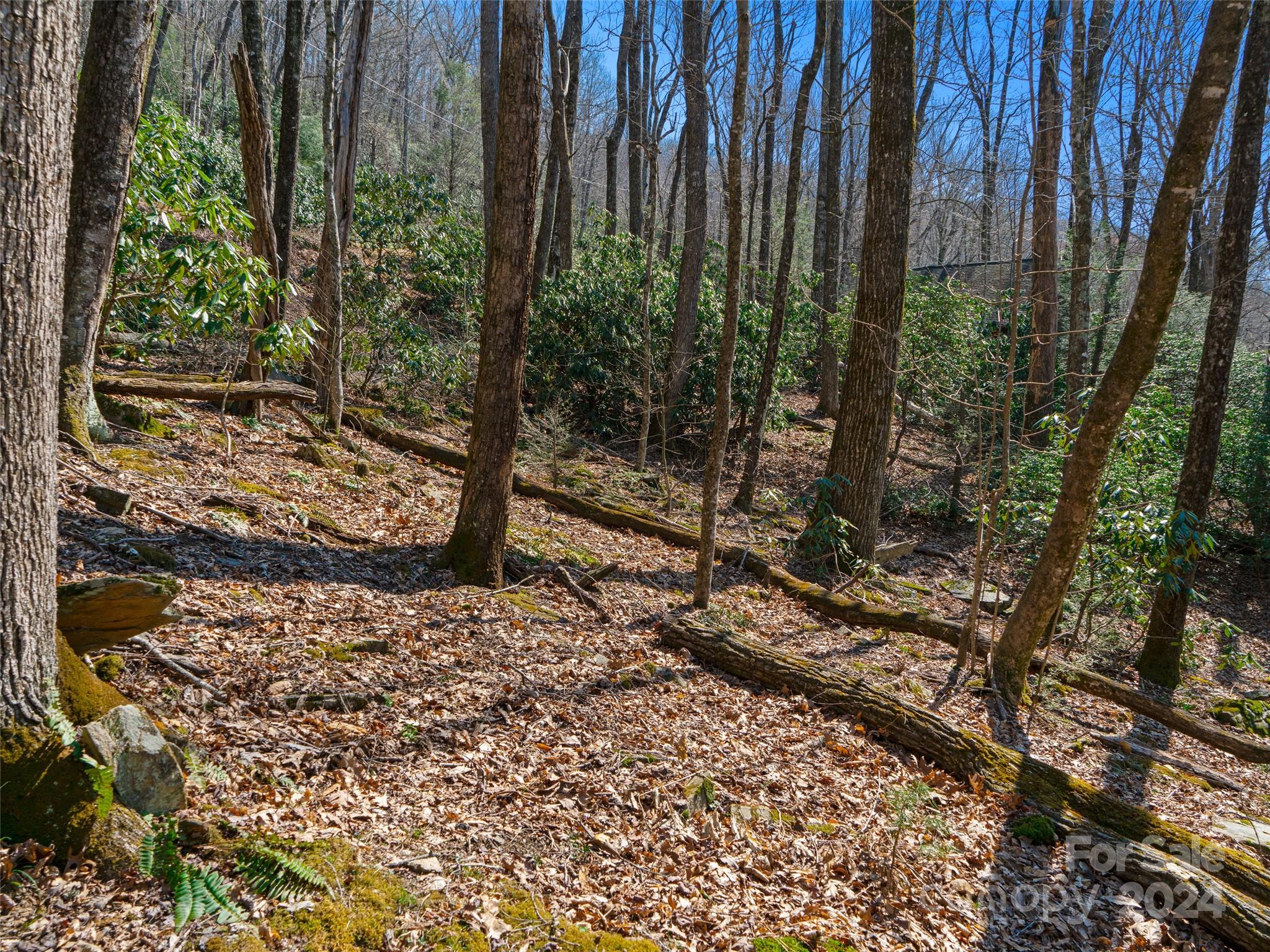 0 Big Ridge Road, Unit 62 & 63 Burnsville, NC 28714 - Photo 8 of 31 a view of a forest with trees