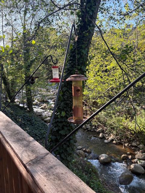 15667 Ojai Road Santa Paula, CA 93060 - Photo 22 of 25