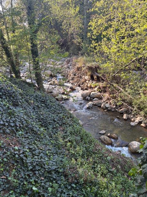 15667 Ojai Road Santa Paula, CA 93060 - Photo 3 of 25