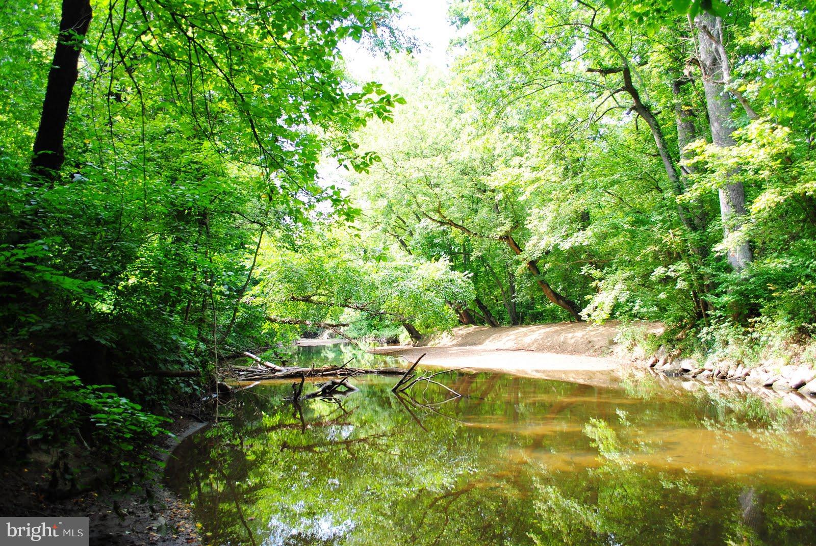 1675 Primrose Road Northwest Washington, DC 20012 - Photo 25 of 26 Rock Creek Park