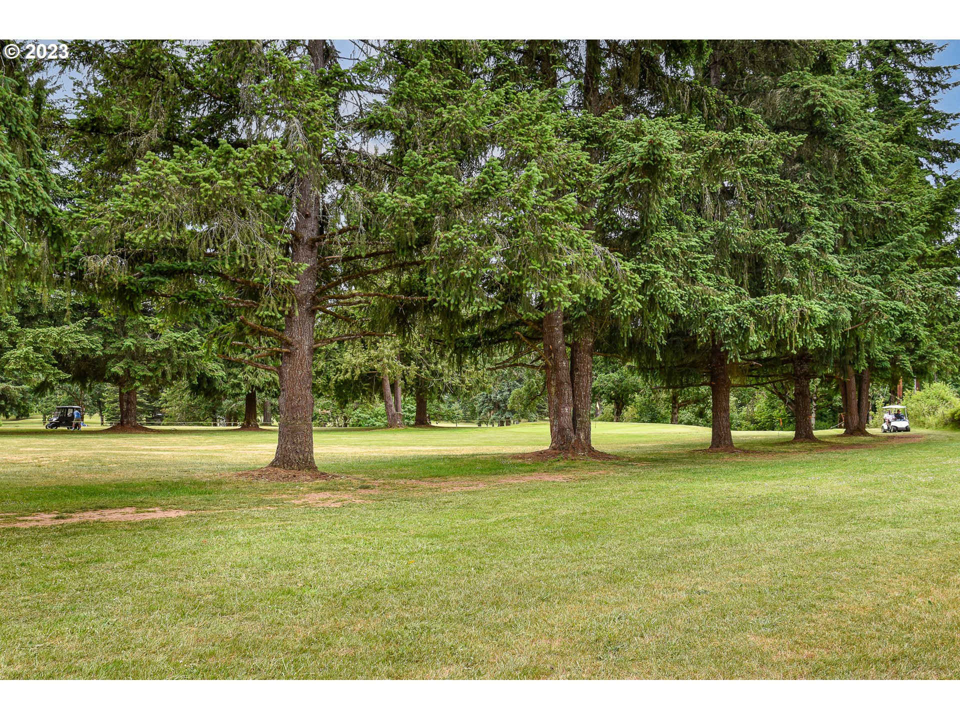 501 Bennett Creek Road Cottage Grove, OR 97424 - Photo 33 of 33 Gallery Image 33